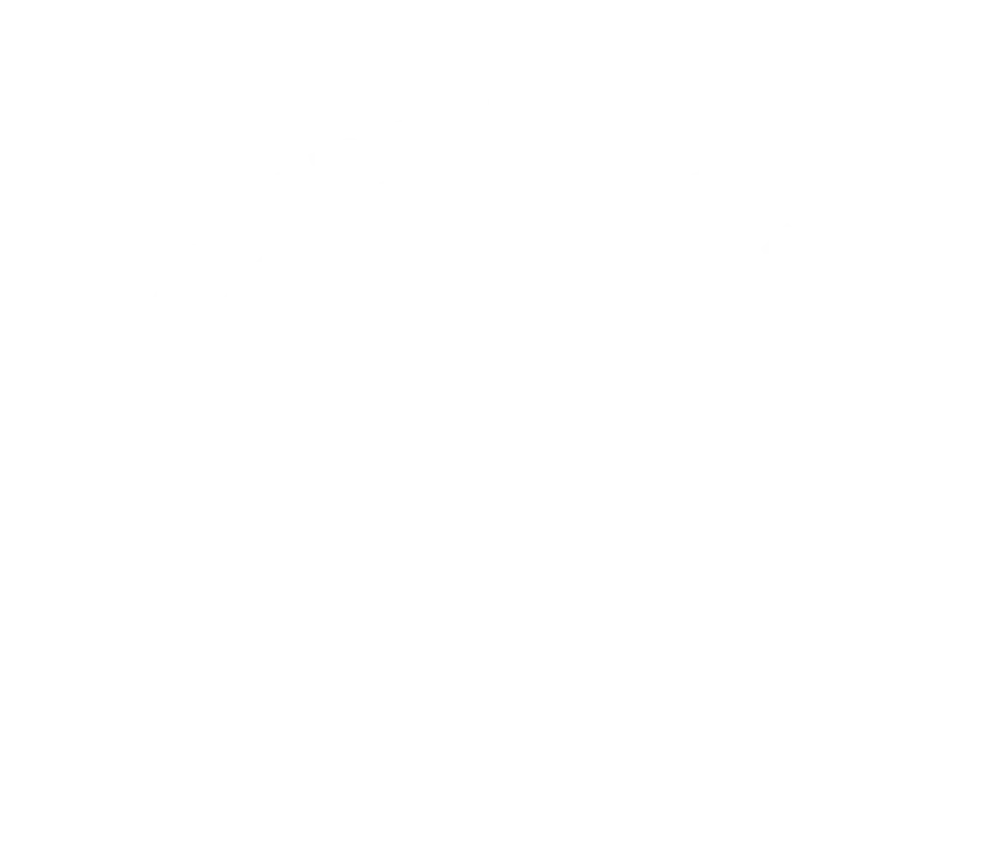 http://RUMBO%20A%20LA%20TORTUGA